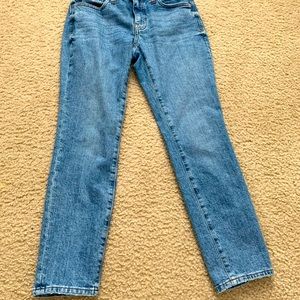 Madewell nine inch high rise skinny jean